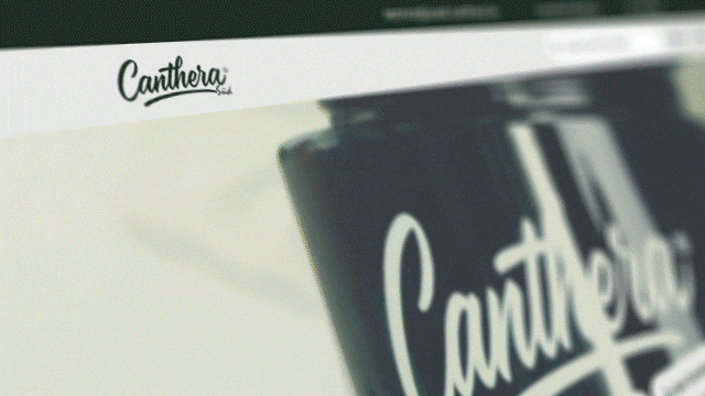 Beispielseiten mit Wunschdesign